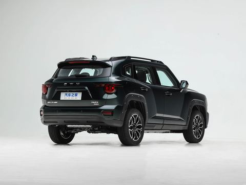 Haval Ha Fu Da Gou PLUS — China electric EV for export — photo 7