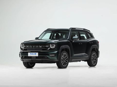 Haval Ha Fu Da Gou PLUS — China electric EV for export — photo 1