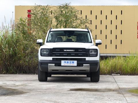 Haval Ha Fu Meng Long — China electric EV for export — photo 2