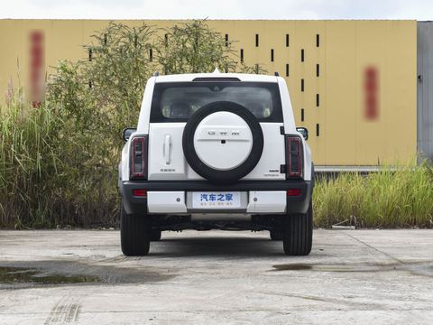Haval Ha Fu Meng Long — China electric EV for export — photo 6