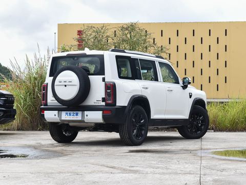 Haval Ha Fu Meng Long — China electric EV for export — photo 7