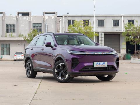 Haval Ha Fu Xiao LongMAX — China electric EV for export — photo 3