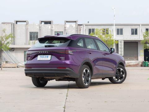 Haval Ha Fu Xiao LongMAX — China electric EV for export — photo 7