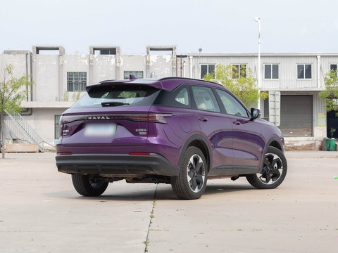Haval Xiaolong Max — China plug-in hybrid EV for export — photo 7