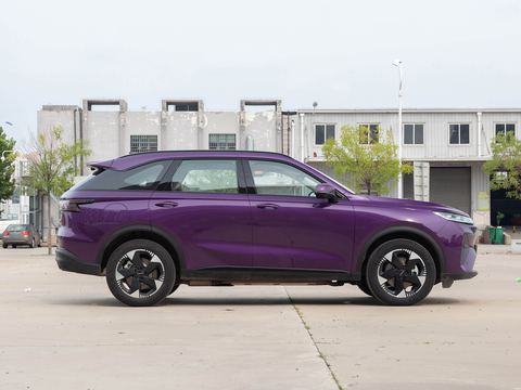 Haval Ha Fu Xiao LongMAX — China electric EV for export — photo 8