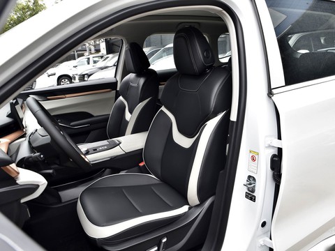 Haval H6 PHEV — China plug-in hybrid EV for export — photo 10