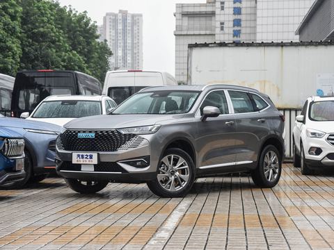 Haval Ha FuH6 — China electric EV for export — photo 8