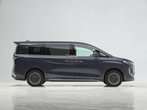 Hongqi Hong QiHQ9 PHEV — China electric EV for export — photo 8