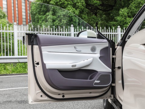 Exeed Sterra ES — China electric EV for export — photo 11