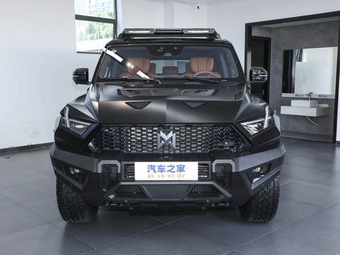 Mengshi Meng Shi917 — China electric EV for export — photo 2