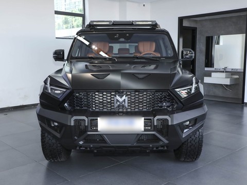 Mengshi 917 — China range-extender EV for export — photo 2