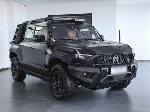 Mengshi 917 — China range-extender EV for export — photo 3