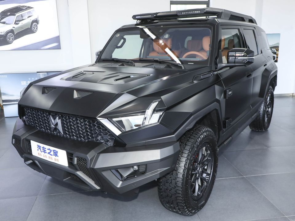 Mengshi Meng Shi917 export to Chile — China EV for export