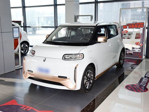 Ora White Cat — China electric EV for export — photo 8