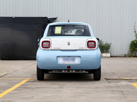 Ora Black Cat — China electric EV for export — photo 6
