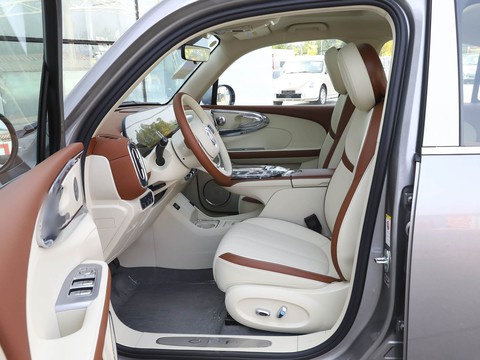 Ora Ballet Cat — China electric EV for export — photo 9