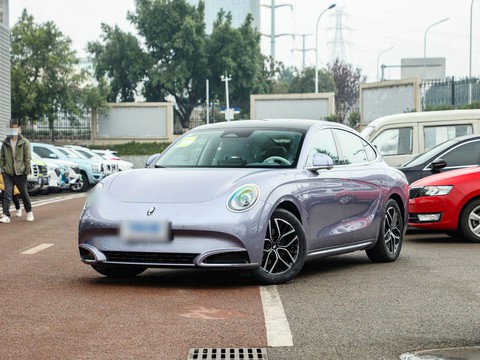 Ora Lightning Cat — China electric EV for export — photo 8