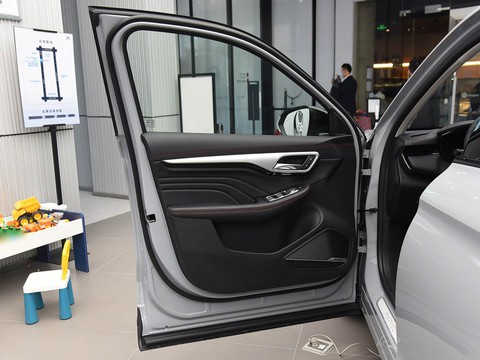 Feifan MARVEL R — China electric EV for export — photo 11