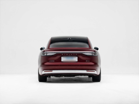 Stelato S9 — China electric EV for export — photo 6