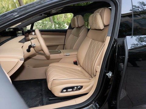 Stelato S9T — China electric EV for export — photo 10