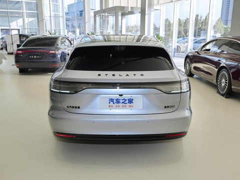 Stelato S9T — China electric EV for export — photo 6