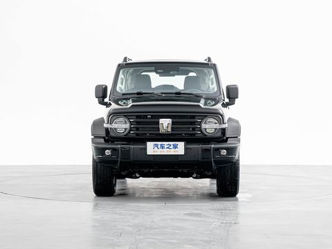 Tank Tan Ke300 — China electric EV for export — photo 2