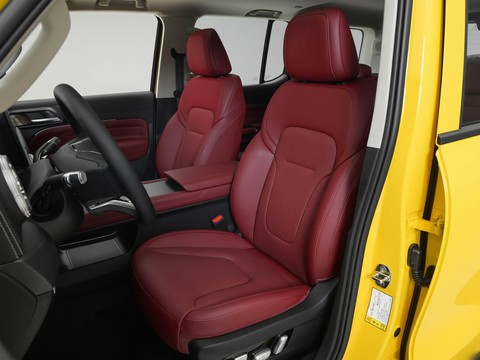 Tank 300 L — China plug-in hybrid EV for export — photo 10