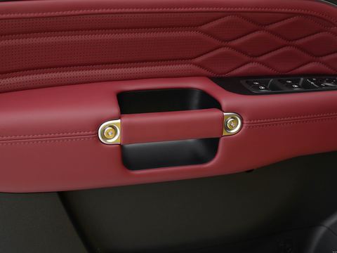 Tank Tan Ke300L — China electric EV for export — photo 16