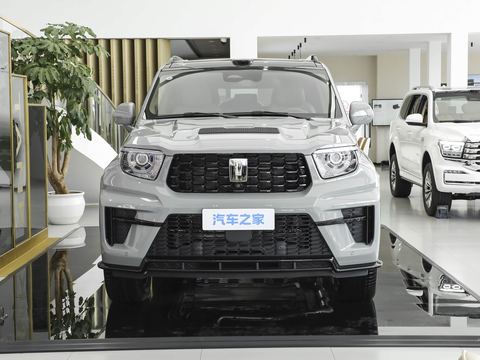 Tank Tan Ke700 — China electric EV for export — photo 2