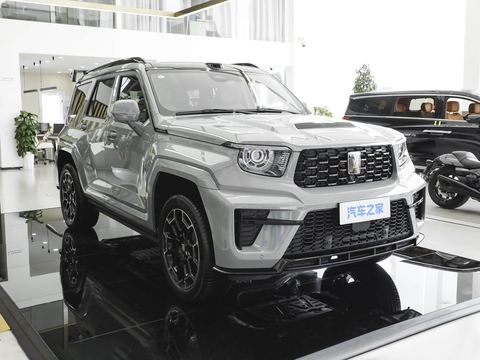 Tank Tan Ke700 — China electric EV for export — photo 3