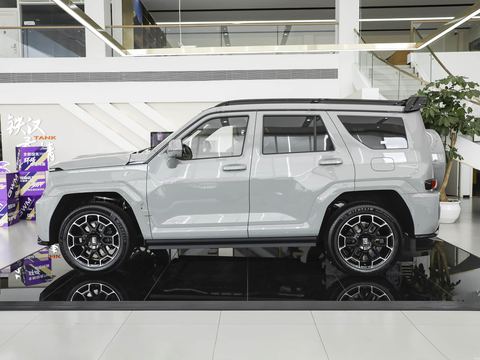 Tank Tan Ke700 — China electric EV for export — photo 4