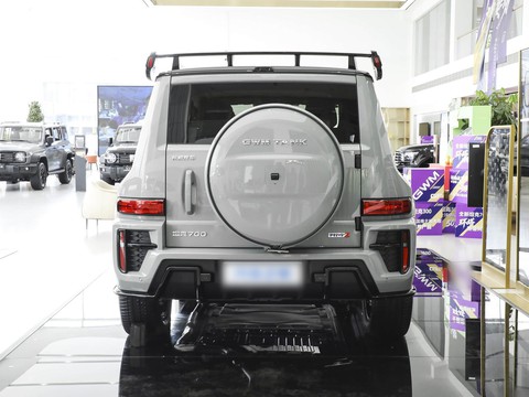 Tank 700 Hi4-T — China plug-in hybrid EV for export — photo 6