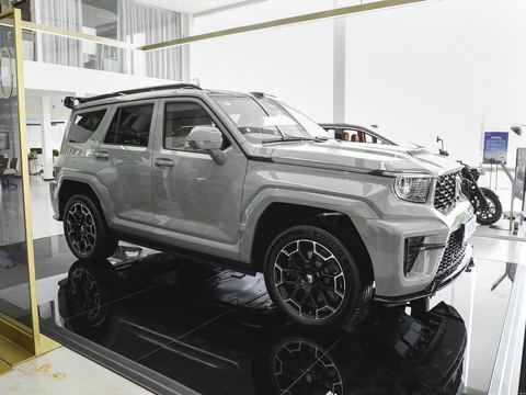 Tank Tan Ke700 — China electric EV for export — photo 8