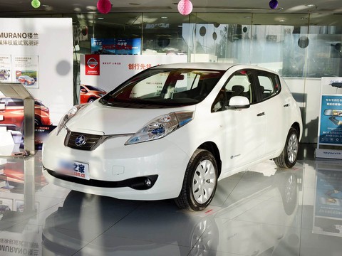 Venucia Chenfeng — China electric EV for export — photo 6