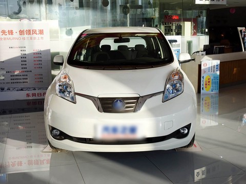 Venucia Chenfeng — China electric EV for export — photo 7