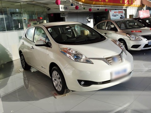 Venucia Chenfeng — China electric EV for export — photo 8