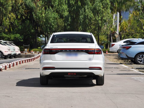 Venucia D60 EV — China electric EV for export — photo 6