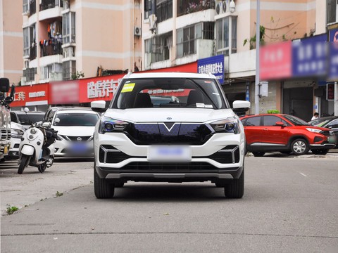 Venucia T60 EV — China electric EV for export — photo 2