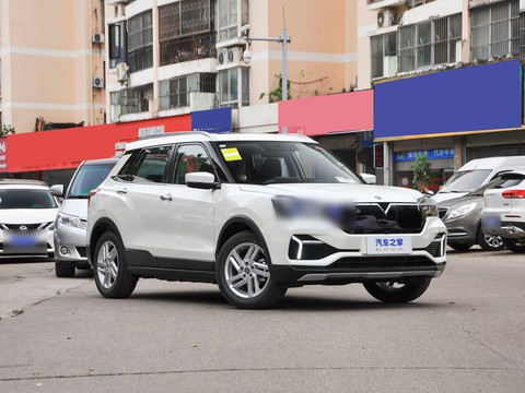 Venucia T60 EV — China electric EV for export — photo 3