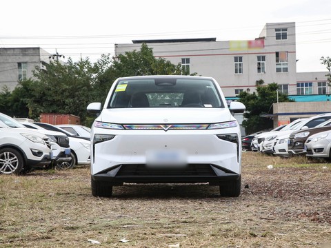 Venucia VX6 — China electric EV for export — photo 2