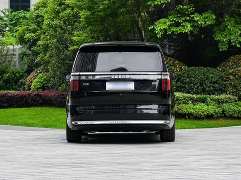 Zeekr 009 — China electric EV for export — photo 6